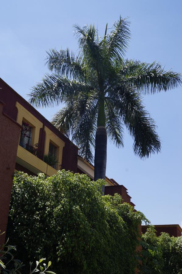 Suites Parador Santo Domingo De G. Oaxaca Εξωτερικό φωτογραφία